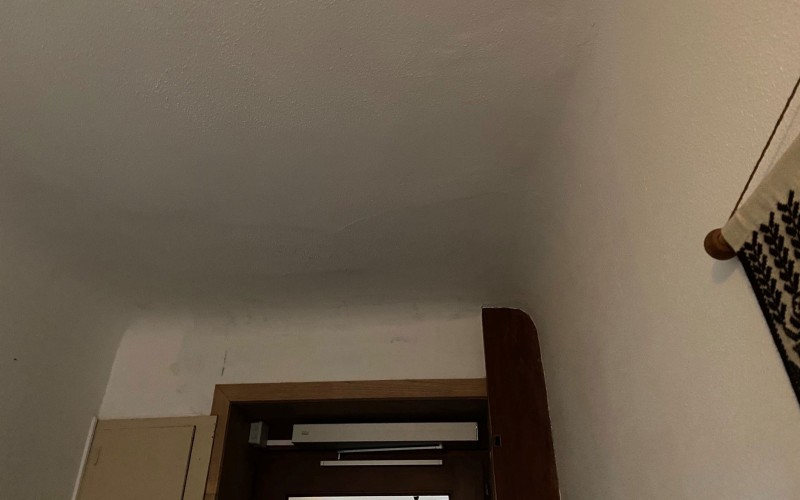 automatische voordeur plafond